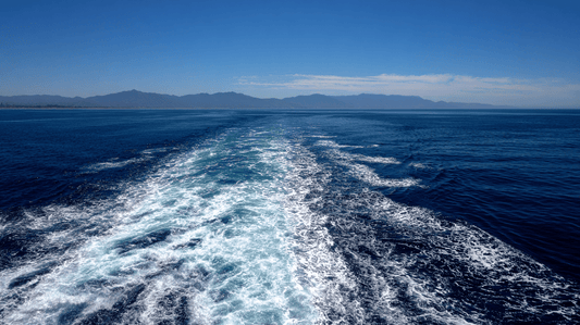 The Logbook: Entry One - Boat Crew Co.